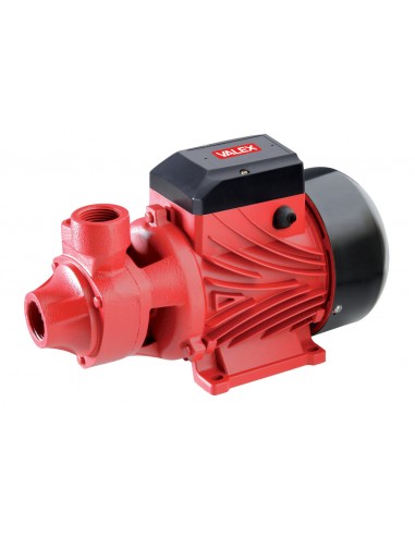 Elettropompa periferica Valex PJ551 Portata 2.700 l/h corpo in ghisa Attacco 1" femmina 550W