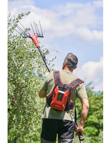 Abbacchiatore Scuoti olive Telescopico Blue Bird OLIMPO 23-56 AT con batteria a zaino 50.4 V potenza 1000W