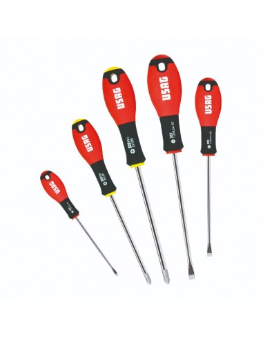 Giraviti Serie Usag 322 SH5 da 5 pz per viti a taglio e croce Phillps lama in acciaio al cromo Vanadio